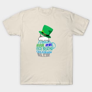 St Patricks celebration T-Shirt